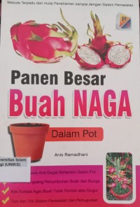 Image of Panen Besar Buah Naga Dalam Pot