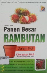 Image of Panen Besar Rambutan Dalam Pot