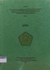 Image of PENGARUH LAMA PEMBUSUKAN SIPUT SAWAH (Pila ampullaceal L.) TERHADAP KETERTARIKAN SERANGGA WALANG SANGIT (Leptocorisa oratorius) PADA TANAMAN PADI (Oryza sativa L.) DI KABUPATEN KUANTAN SINGINGI