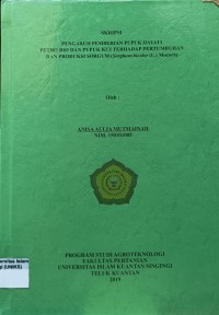 Image of PENGARUH PEMBERIAN PUPUK HAYATI PETRO BIO PUPUK KCL TERHADAP PERTUMBUHAN DAN PRODUKSI SORGUM (SORGUM BIOCOLOR (L)MOENCH)