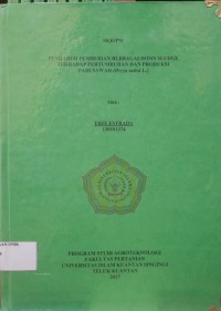 Image of PENGARUH PEMBERIAN BERBAGAI DOSIS SLUDGE TERHADAP PERTUMBUHAN DAN PRODUKSI  PADI SAWAH (Oryza sativa L.)