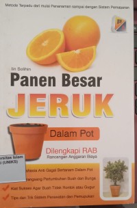 Image of Panen Besar Jeruk Dalam Pot
