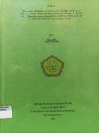 Image of PENGARUH PEMBERIAN PUPUK HAYATI PETRO BIOFERTIL TERHADAP PERTUMBUHAN DAN PRODUKSI TANAMAN JAGUNG PULUT (Zea mays ceretina, Kulesh) PADA SISTEM TUMPANG SARI DENGAN KEDELAI (Glycine max L. Merril)